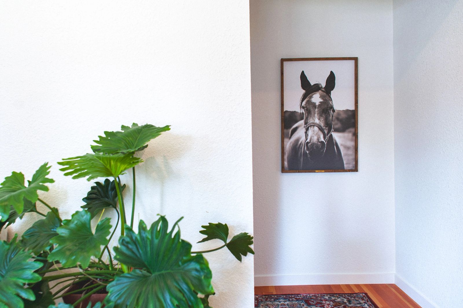 Workhorse office interior